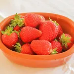 Tourist Farm Mulej Smještaj na farmi