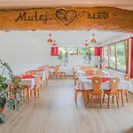 Tourist Farm Mulej Smještaj na farmi *