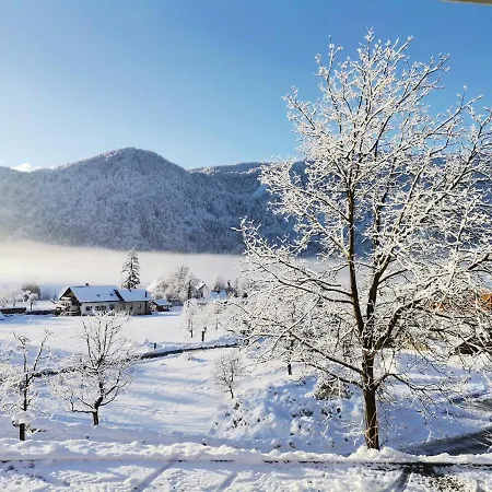 Tourist Farm Mulej