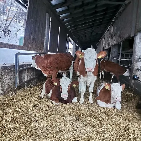 Tourist Farm Mulej Bled