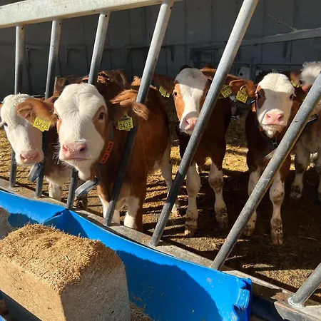 Farmház Tourist Farm Mulej *