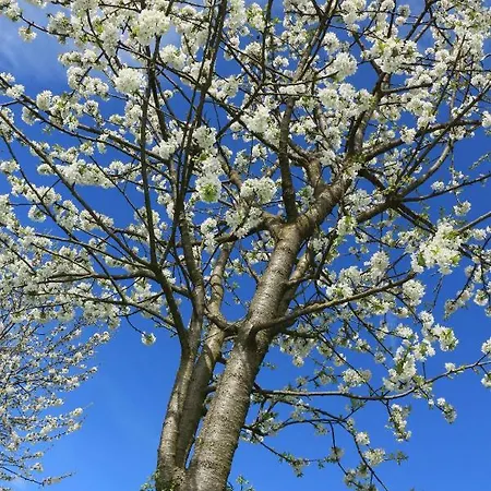 Farmház Tourist Farm Mulej *