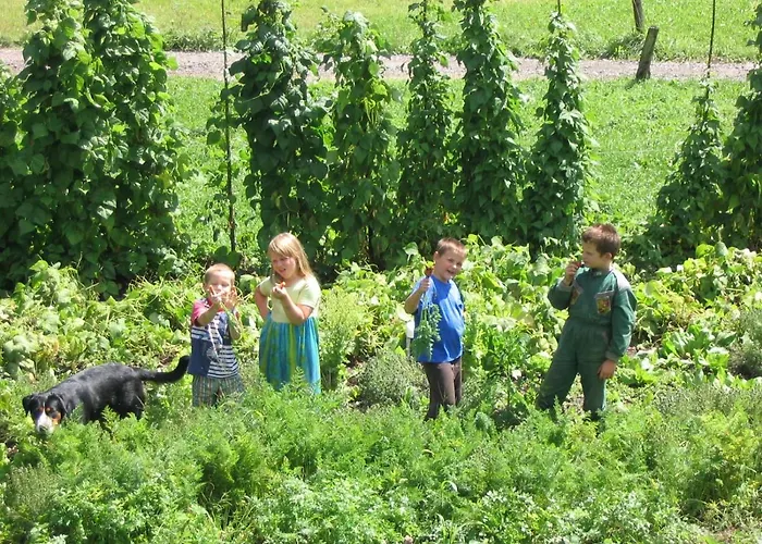 Κατάλυμα σε φάρμα Tourist Farm Mulej Μπλεντ