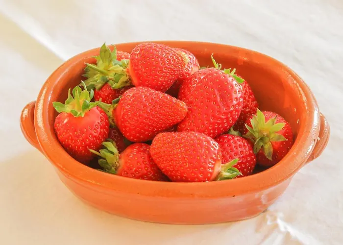 Tourist Farm Mulej ファームステイ