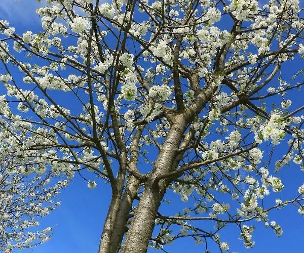 Κατάλυμα σε φάρμα Tourist Farm Mulej *